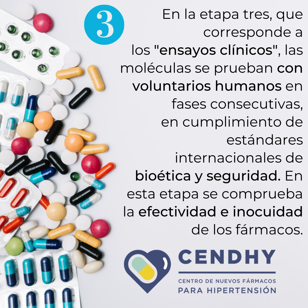 Etapa 3 desarrollo de medicamentos